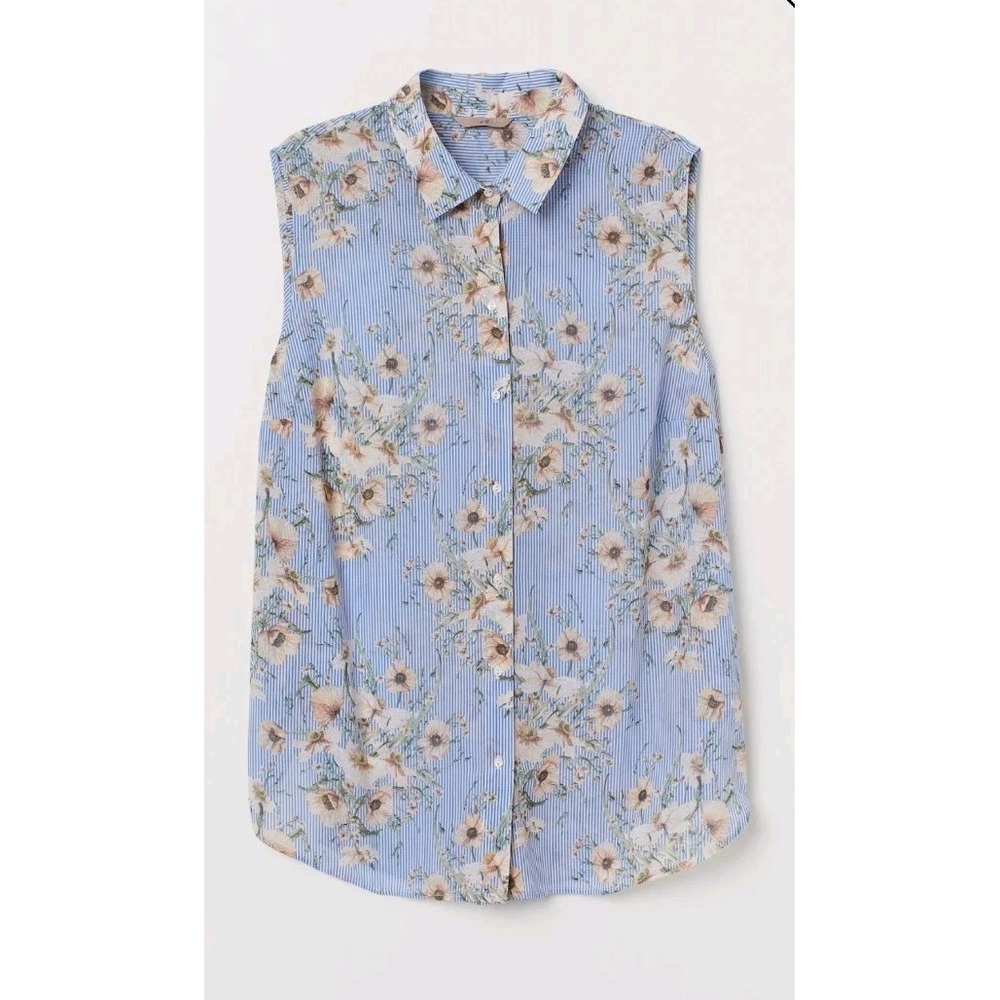 H&M Womens Floral Sleeveless Blouse Collared Button Down Chiffon Blue Beige Sz 2